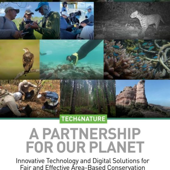 华为“TECH4ALL”