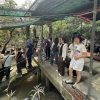 湄公河椰林乘船 湄公河椰林乘船